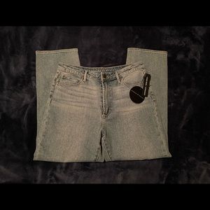 Articles of Society Jeans